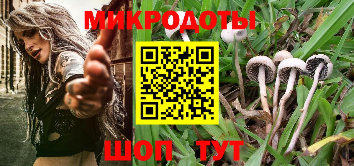 Кохма  Псилоцибиновые грибы ЛСД  Галлюциногенные грибы мухоморы  как найти закладки  Вход с VPN 